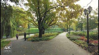 Autumn Park Walk in Riga City Centre - City Street Sounds, Latvia - ASMR [4K]