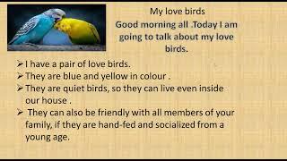 MY LOVE BIRDS :SPEECH FOR STUDENTS:SIMPLE :GOOF FOR COMPETITION AND ASSEMBLY