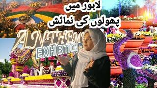 Jilani Park Lahore Festival 2024 |Race Course |Flower Exhibition Lahore #lahore #jilanipark #viral