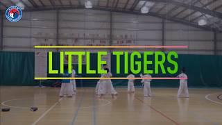 VTEAM Taekwondo Little Tigers Class