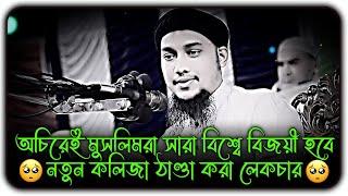 অচিরেই মুসলিমরা বিজয়ী হবে ইনশাআল্লাহ ।। আবু ত্বহা মুহাম্মদ আদনান ।। abu toha adnan new waz 2024