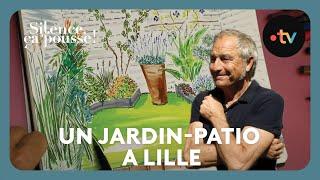 Pas de panique : Un jardin-patio à Lille - Silence, ça pousse ! 9 Novembre 2024