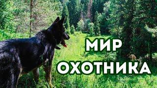 Мир ОХОТНИКА