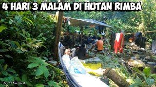 Camping Fishing Adventure Petualangan Hutan Belantara Sumatera Cari Madu Sialang Survival Part 38