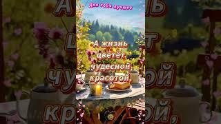 ДЛЯ ТЕБЯ САМОЕ ЛУЧШЕЕ  #лучшее #видео #открытка #shorts #шортс #like #радость #топ