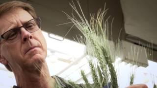 2016 ASTech Award Winner Agriculture: Dr. Robert Graf