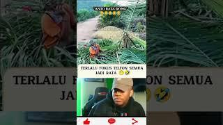 Meme shorts viral #shorts #funny #komedi #lucu #viral #kocak #meme #story #ngakak #video lucu