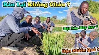 Công Giáp || Bác Nam Tiếc Nuối, Sau Bao Lâu Trở Lại, Mọi Thứ Đã Thay Đổi Hoàn Toàn ! Có Gạo Thật Rồi