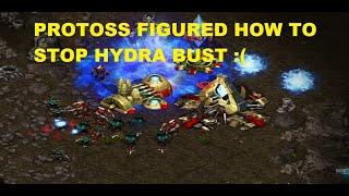 PROTOSS FIGURED HOW TO STOP HYDRA BUST