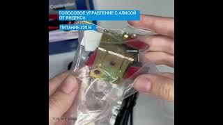 Умный WIFI контроллер с Алисой Terem Techno для открывания гаражных ворот Tuya / Smart Life / Digma