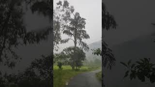 On the way to Ranajilleda Waterfalls#Araku valley#Vizag#Shorts#