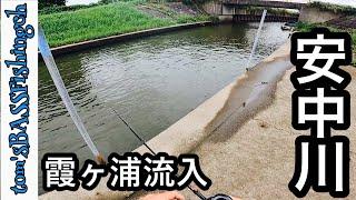 【霞ヶ浦】全く釣りしたこと無い流入河川で釣りしたら...