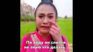 В поисках Степана