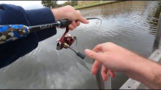 Fishing Structure For Bream and Flathead on Perth's Swan River (Land Based)