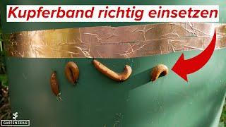 Nachhaltige Schneckenabwehr - Kupferband richtig einsetzen!