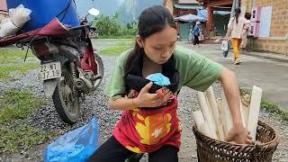 Triệu Thị Long | Single mother and child go to the forest to pick bananas - the life of a mother