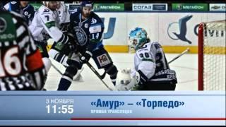 Четверг (03.11) на КХЛ-ТВ: Амур - Торпедо 11:55 мск