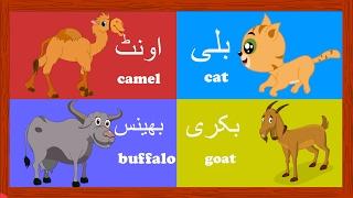 Learn Animal Names in Urdu and More | جانور کے نام | Urdu Kids Rhymes Collection