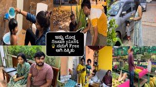 ಹೇಗೆ ಇಷ್ಟು ದೊಡ್ಡ Snake plant🪴ನಮಗೆ ಫ್ರೀ ಆಗಿ ಸಿಕ್ಕಿತು ? Rani akka Birthday Celebration  Veer  