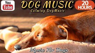 20 HOURS of Dog Calming Sleep MusicRelax My Dog Anti Separation Anxiety Relief ⭐Healingmate