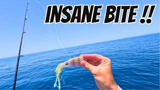 Insane Day Fishing the Great Barrier Reef