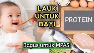 5 Jenis Lauk (Protein) Hewani yang Bagus untuk MPASI Bayi