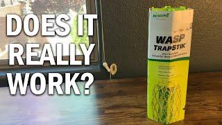 RESCUE! TrapStik for Wasps Review - Does It Really Work?