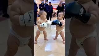 The fight doesn’t show any weakness at all  energeticbabyTikTok adorable show  start from the baby