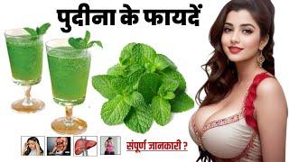 Pudina Khane Ke Fayde ! पुदीना के फायदे और नुकसान ! Mint Benefits