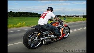 ⭐️ Harley Davidson V Rod muscle Custom Bike by Fredy motorcycles from Estonia 3