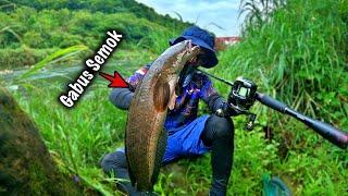 SPOT BARU HASILNYA TIDAK TERDUGA ‼️ MANCING CASTING IKAN GABUS DI SUNGAI PEGENUNGAN TAIWAN TERBARU