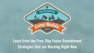 Camp Maddie: Learn from the Pros  Dog Foster Recruitment Strategies that are Working Right Now