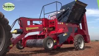 Dry bean harvesting - Master Export | Sweere