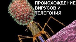 ПРОИСХОЖДЕНИЕ ВИРУСОВ И ТЕЛЕГОНИЯ