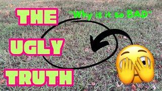 Beginner: 5 Reasons Your Lawn is UGLY | DIY Lawn Coach