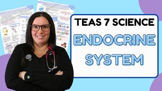 2024 ATI TEAS 7 Science Anatomy and Physiology Endocrine System with Nurse Cheung