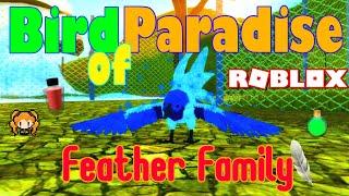 ROBLOX FEATHER FAMILY  BIRD OF PARADISE  Animations NEW Sanctuary I'm the VET! TAKE YOUR MEDICINE