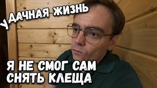 Дачный влог. Делаю очередную грядку, что посадить в сентябре? Дачный сезон продолжается