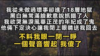 我從未做過壞事卻進了18層地獄黑白無常滿臉歉意說抓錯了人我欲哭無淚風華正茂的年紀成了鬼他倆下定決心讓我閉上眼睛送我回去不料一個聲音響起 我傻了#書林小說 #重生 #爽文 #情感故事 #唯美频道