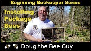 Beginning Beekeeping Series Episode 6: Installing Package Bees on Plastic Foundation