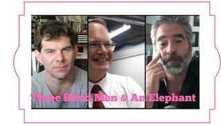 Three Blind Men & An Elephant