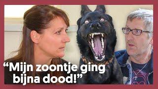 11 JAAR RUZIE door een HOND | Het Familiediner