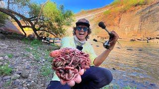 Pesca con LA MEJOR CARNADA del Mundo! | Captura y Cocina en el Río