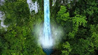 Waterfall White Noise Sounds for Sleeping, Relaxation, and Peace!