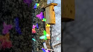 Что делают из КЛЁНА