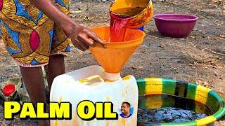 PURE PALM OIL PRODUCTION At Triple-A Healthy Harvest Farm -  Episode 4 - Farming In Sierra Leone