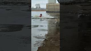 Впечатлительный 