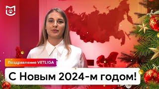 С Новым 2024-м годом! Поздравление VETLIGA