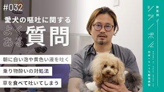 【愛犬の嘔吐】よくある質問に獣医師が答えます。｜吐物を食べる｜乗り物酔い｜朝に吐く｜【獣医師ツジノボル】