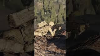 Die "10 A`s" | #arma3 #outtakes #milsim